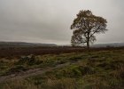 Peak District 089.jpg