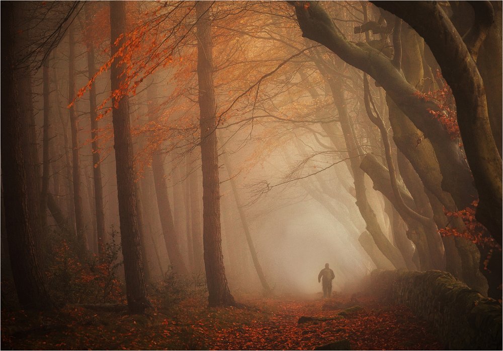 Autumn Walk by Robert Falconer - Clay Cross