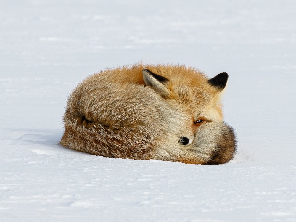 Keeping An Eye Out by Stephen Moon - High Peak