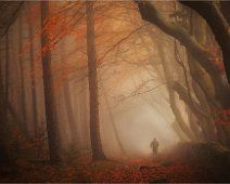 Autumn Walk by Robert Falconer - Clay Cross