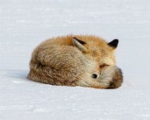 Keeping An Eye Out by Stephen Moon - High Peak