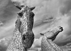 the kelpies