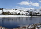 Derwent Snow