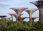 Gardens by the Bay - Singapore