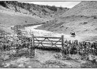 Just paddling, Cressbrook Dale