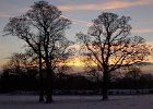 Graves Park Sunset