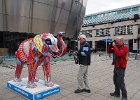 Sheffield : Herd of Sheffield, 2016, Elephant Inside Out