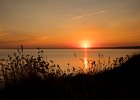 David Atkinson - Golden Hour in Cornwall.jpg