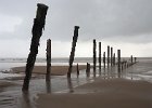 Keith Brown - Spurn Head Survivors.jpg