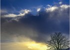 Trevor Unwin - Evening Light Loch Gilphead.jpg