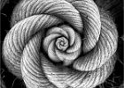 Steve Dorey - Knot Flower.jpg