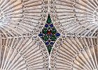 David Greenwood - Ceiling Detail Bath Abbey.jpg