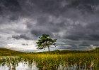 Philip Smith - Kelly Hall Tarn_Before the rain.JPG